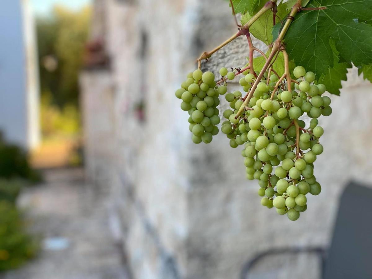 Il Palmento Hotel Relais Locorotondo Esterno foto
